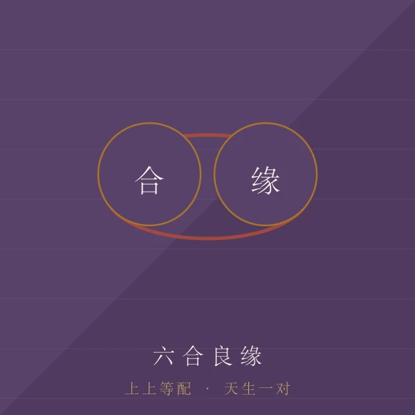 六合婚配主题图