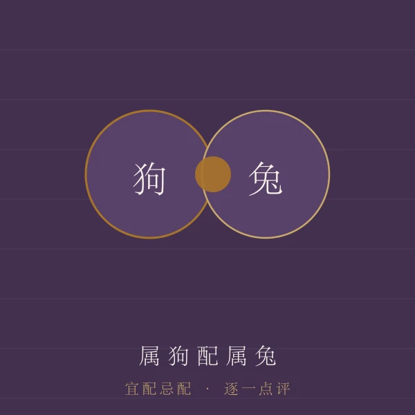 属狗婚配宜忌主题图