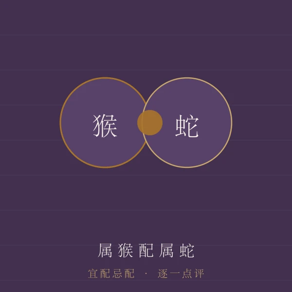 属猴婚配宜忌主题图