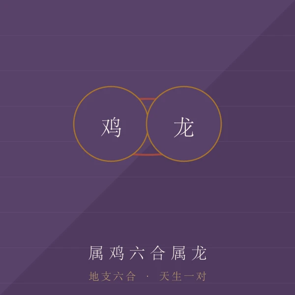 鸡地支六合主题图