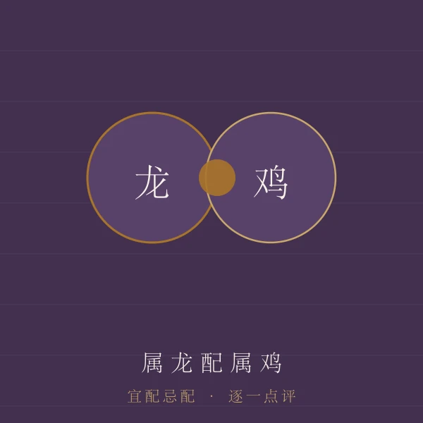 属龙婚配宜忌主题图