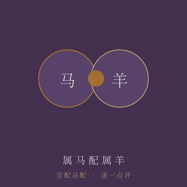 属马婚配宜忌主题图