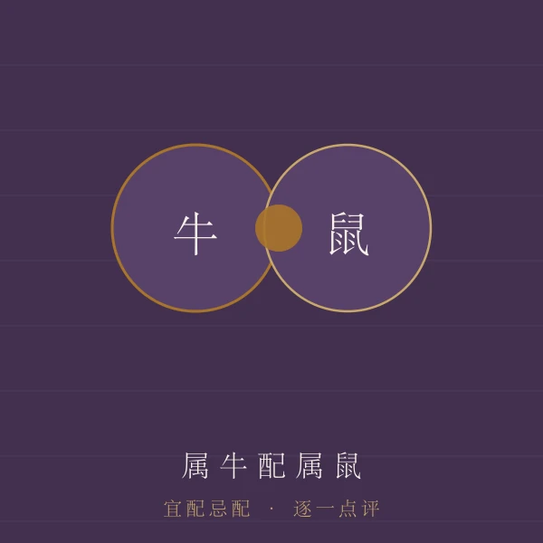 属牛婚配宜忌主题图