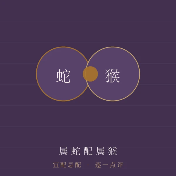 属蛇婚配宜忌主题图