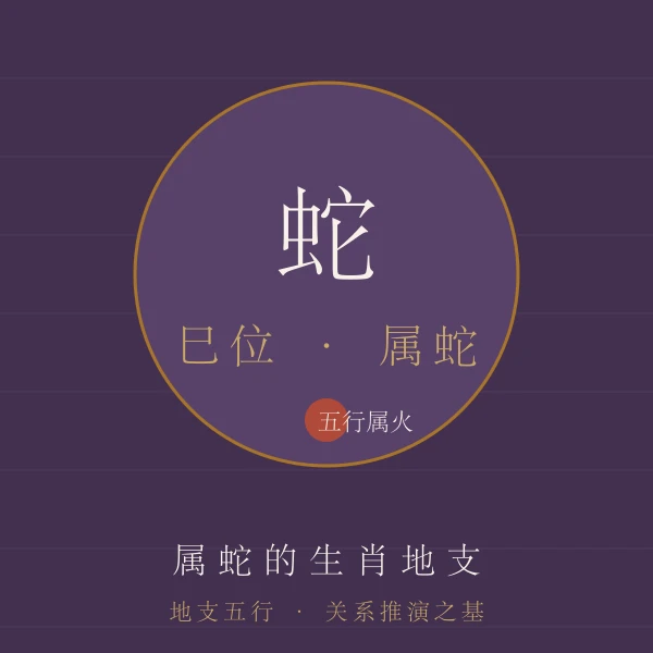 蛇地支属相主题图