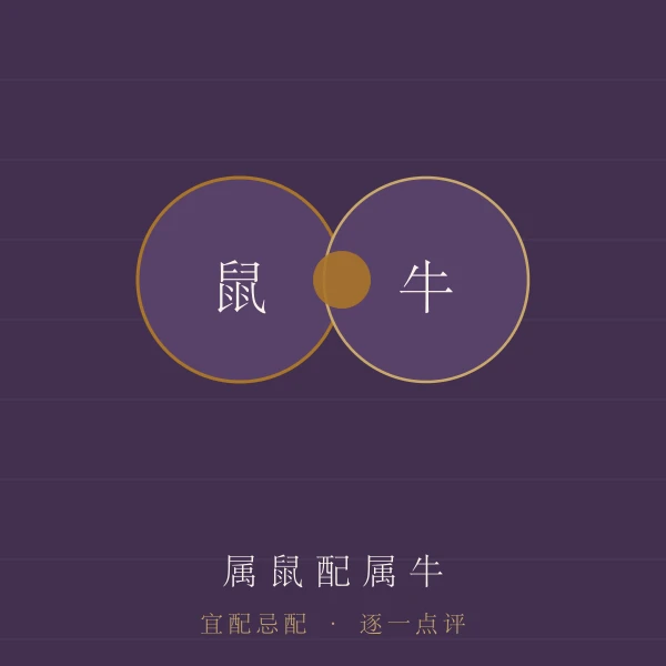 属鼠婚配宜忌主题图