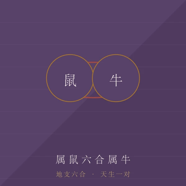 鼠地支六合主题图