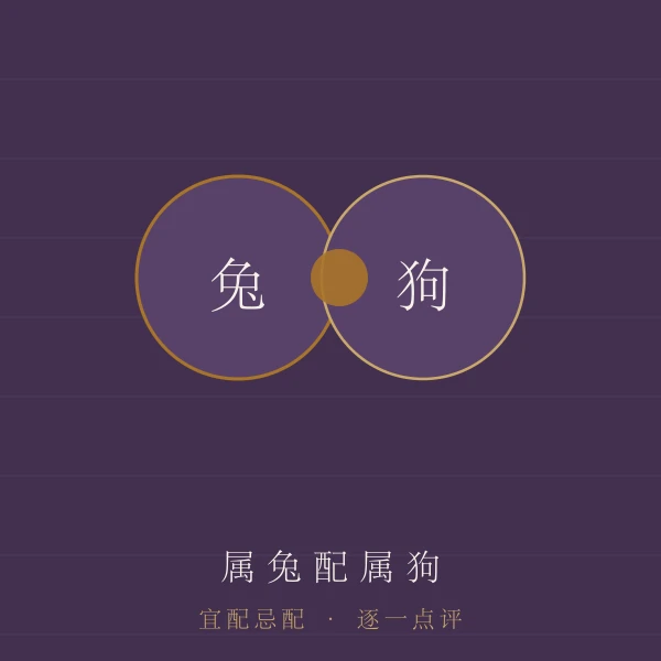 属兔婚配宜忌主题图