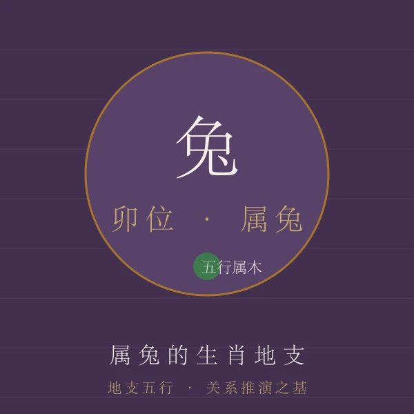 兔地支属相主题图