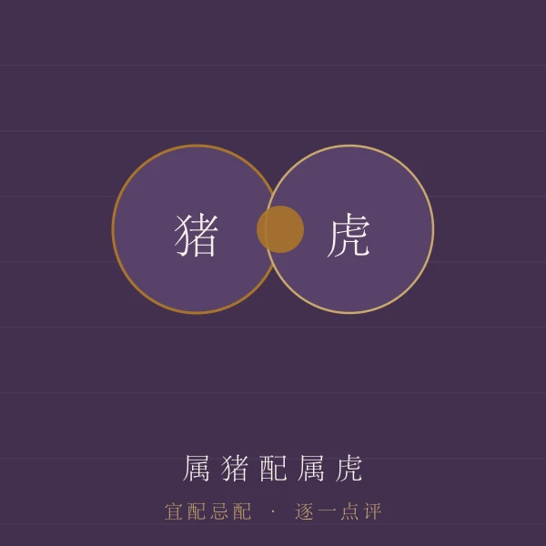 属猪婚配宜忌主题图