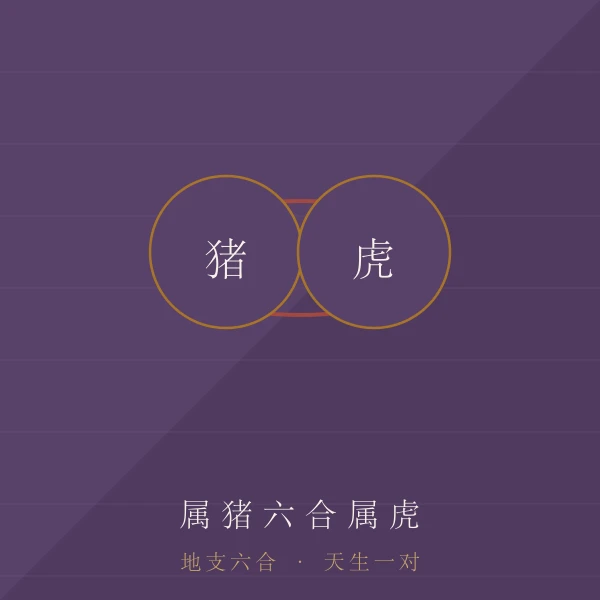 猪地支六合主题图