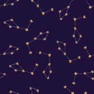 2025属猪冲太岁带什么吉祥物：属猪人冲太岁怎么办