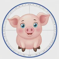 2025年属猪的年龄对照表，属猪的年份表及年龄