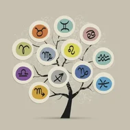 属猴的2025年多大了虚岁呢，虚岁年龄误区