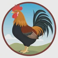 属鸡和什么属相最配 相克相冲，属鸡的和什么属相相冲,相害,相克