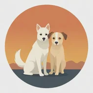 属狗的跟什么属相最配最合适