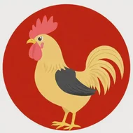 69年鸡女2025年必有一难：69年鸡2025年财运如何